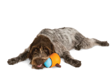 West Paw Zogoflex Toppl Treat Dog Toy