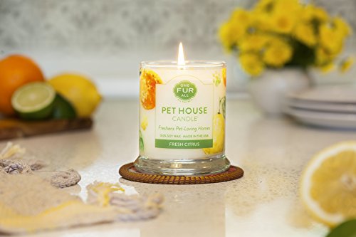Pet House Fresh Citrus Candle